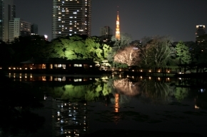 日本庭園と高層ビルがなんだか不思議～